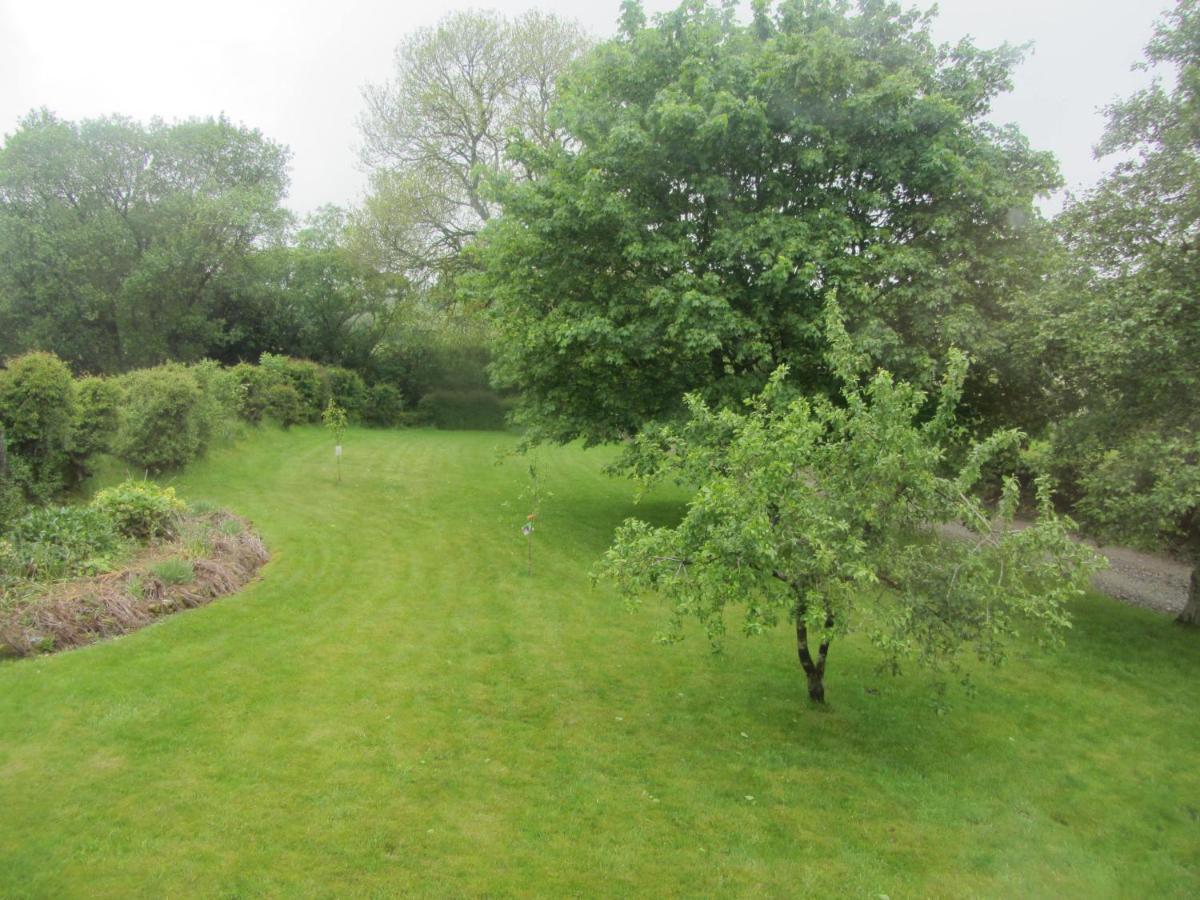 Llys Onnen - North Wales Holiday Cottage Mold Εξωτερικό φωτογραφία