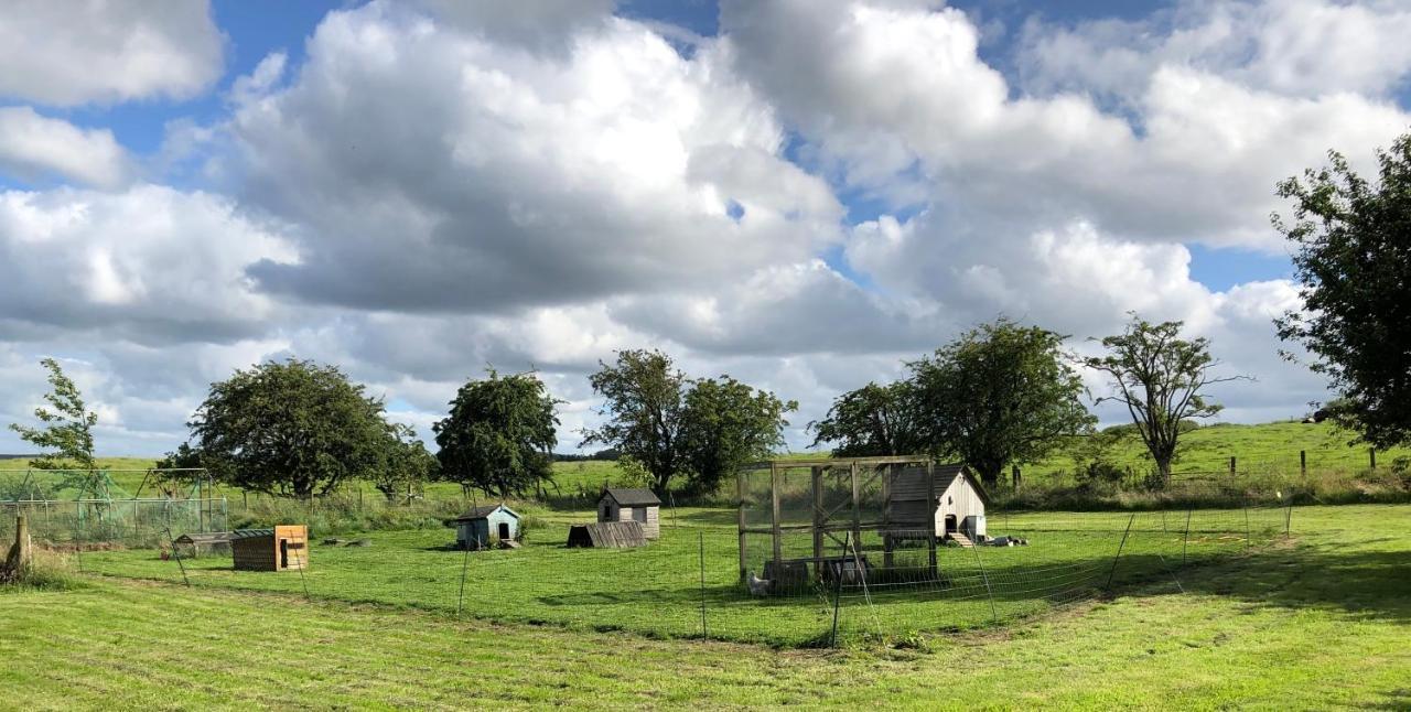 Llys Onnen - North Wales Holiday Cottage Mold Εξωτερικό φωτογραφία